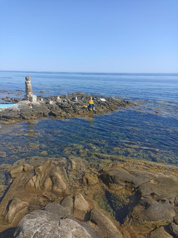 Torre Vallelunga تْرابْيا المظهر الخارجي الصورة